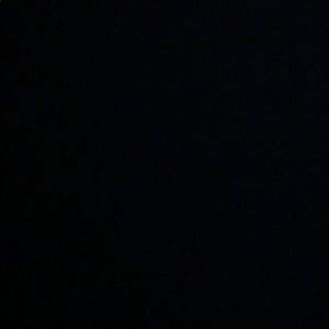 Meet your Posher, Maddie